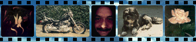 [A Filmstrip of Personal Pics]